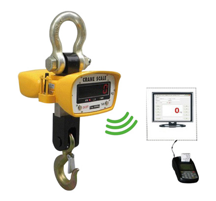 Wireless Crane Scales, Wireless Crane Scales for Cranes, Wireless Crane Scales Manufacture